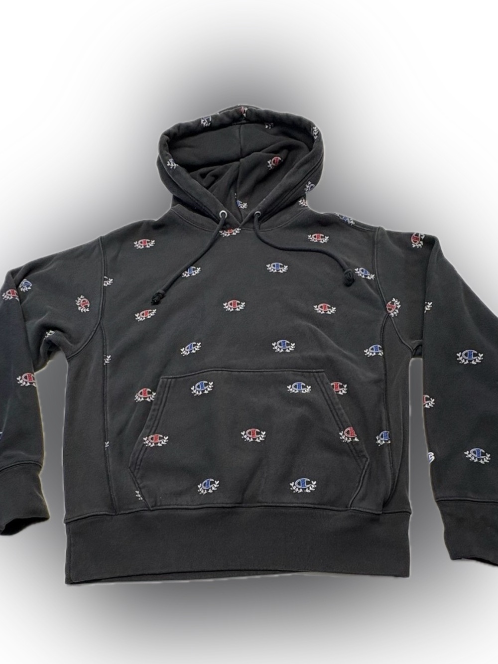 Champion Reverse Weave All Over Print Sketch Laurel C Hoodie